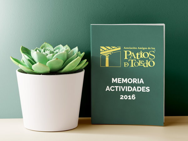 Memoria de Actividades de 2016